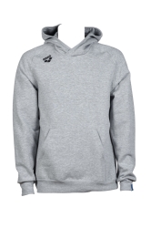 Arena Team Hooded Sweat Panel heather-grey