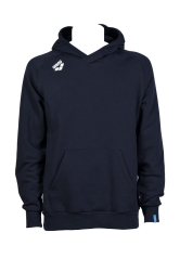 Arena Team Hooded Sweat Panel navy